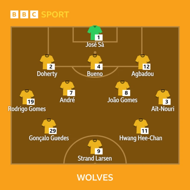 Wolves XI v Newcastle in the Premier League