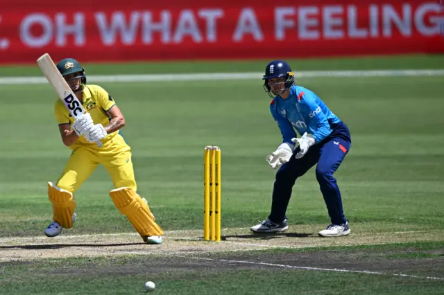 Ash Gardner bats for Australia