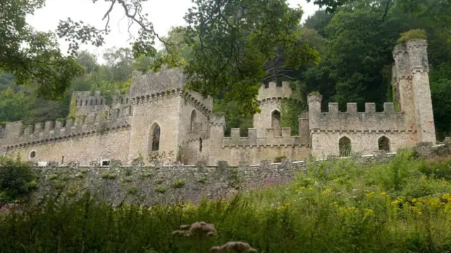 The walls at Gwrych Castle