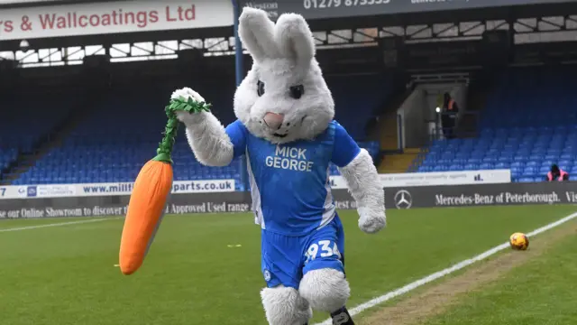 Peterborough's rabbit mascot in blue kit holding a toy carrot