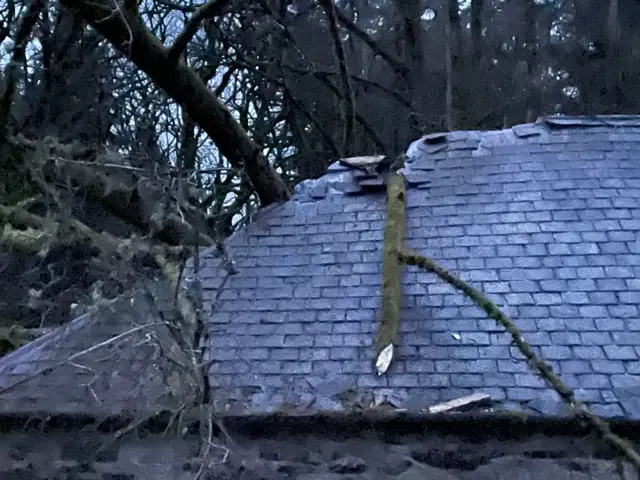 Large branch embedded in a roof. Lots of loose roof tiles