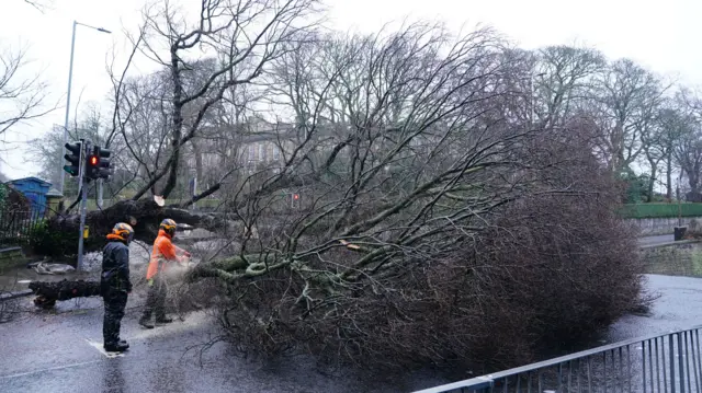 A tree lies across a road. Two people dressed in protective equipment appear to be assessing how to remove it