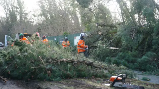 Branches lie across a road. A number of people wearing orange high-vis and helmets work to clear it