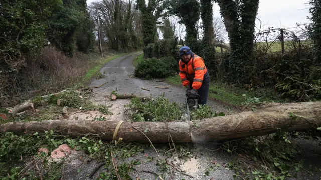 Man uses a chainsaw to cut a tree that is blocking the road. He is wearing orange high-vis