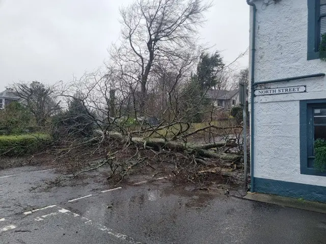 Tree lying across a road at a junction. There is a building on the left hand side, with a street sign saying North Street