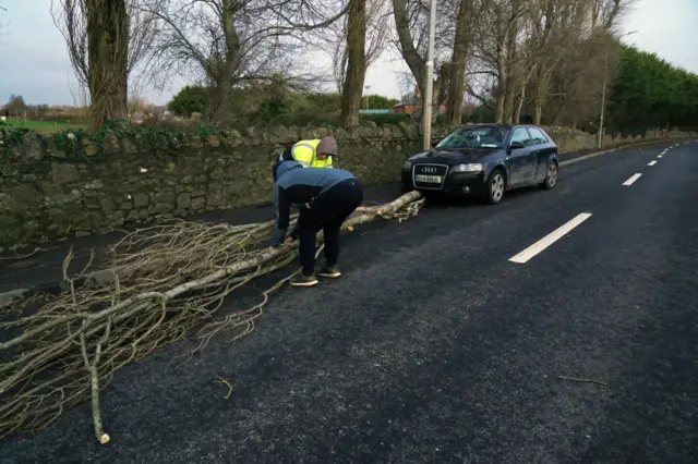 Two men pick up a tree that is on a road in front of a black Audi parked behind it