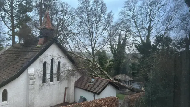 Tree laying across the roof of a church