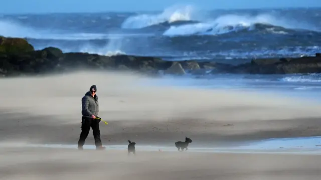 A man walks a dog on a windy beach