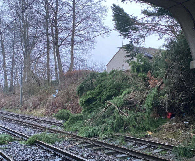 Branches lie on the rail track at Kilwinning in Ayrshire