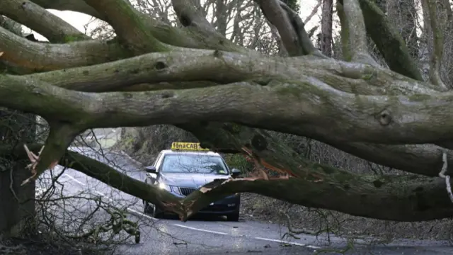 A fallen tree brought down during Storm Éowyn blocks the road on January 24, 2025 in Holywood, near Belfast, Northern Ireland.