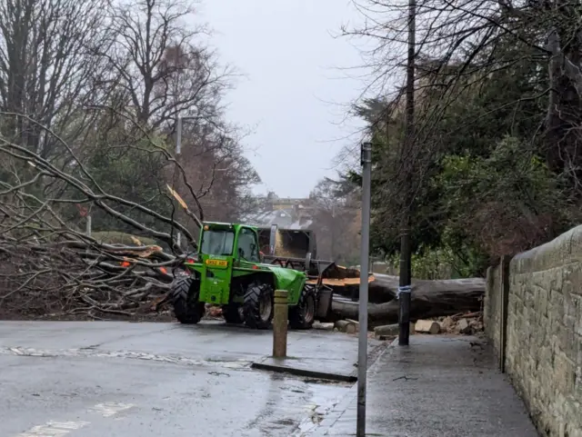 A vehicle tries to move a fallen tree in Edinburgh during Storm Eowyn