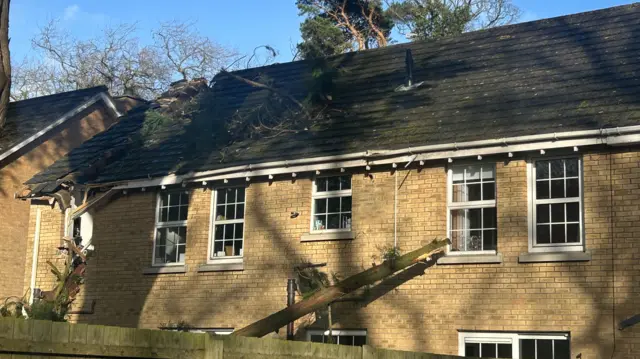 A still of two tree branches which have fallen onto a light-coloured brick, semi-detached house. One of the branches has fallen through the roof of the house and the other has damaged the upstairs window.