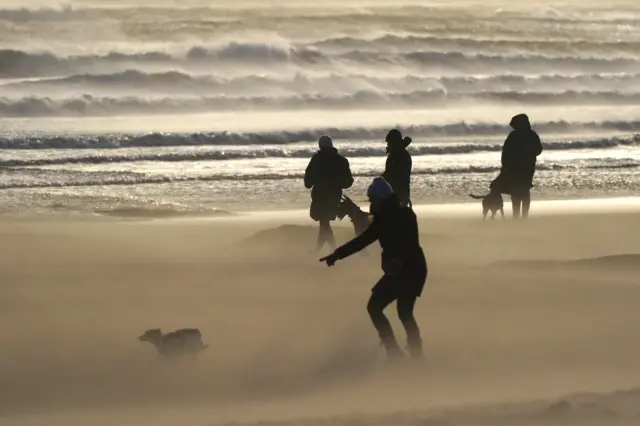 People walking their dogs on a wind swept beach at Tynemouth Longsands on the North East coast of England