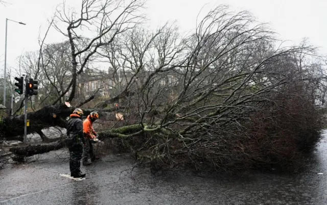 Council workers remove a fallen tree that blocks the Regent Road, as Storm Eowyn hits Edinburgh