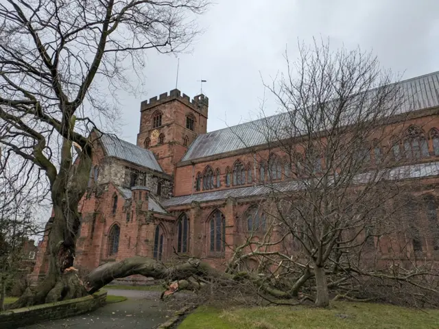 A fallen tree outside Carlisle Cathedral