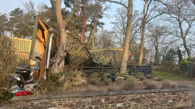 An iron carport appears crumpled in-between trees