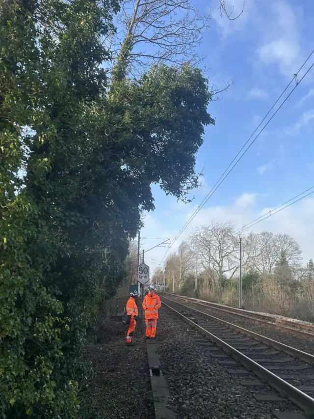 The top of a tree is leaning close to the power lines above the Metro tracks. Two workers in high visibility uniform and white helmets are standing by.