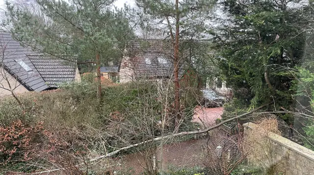 A tree is horizontal across a front garden