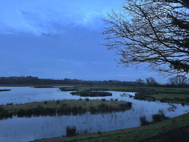 Topsham water meadows