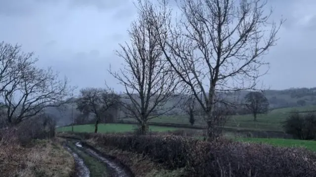 A country path with lots of muddy puddles and a number of bare trees and hills in the distance