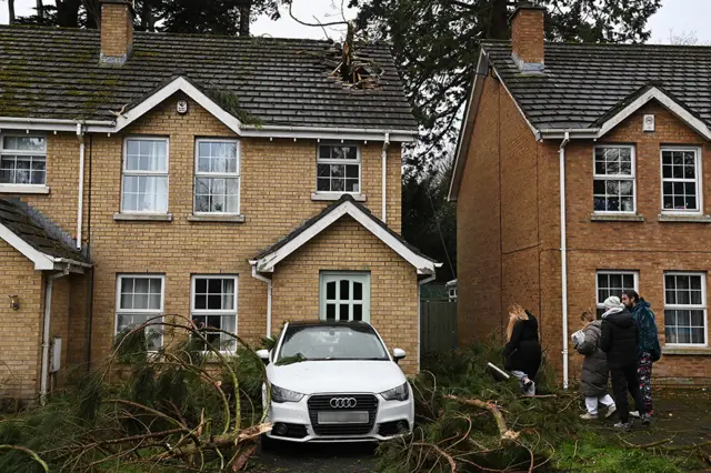 A tree sticking through the roof of a house, causing a big hole