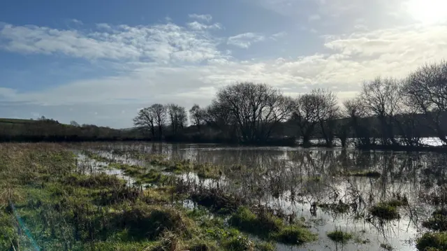 A flooded field in Cornwall with the sun shining after heavy rainfall