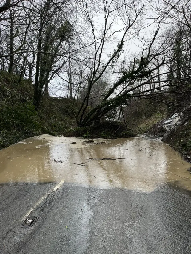 A tree fallen down in a road with water around it.