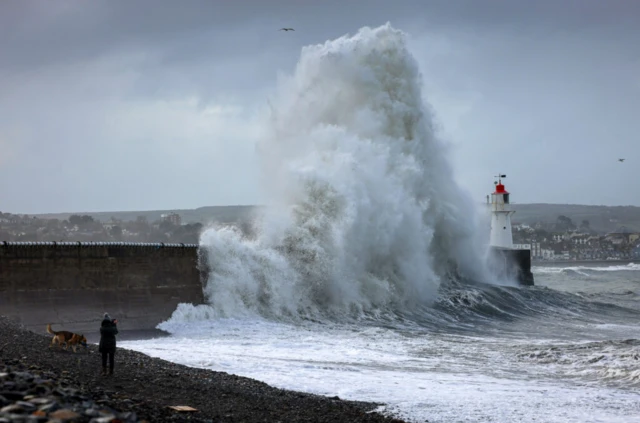 A large wave collides with a sea wall as a woman and dog watch on from the beach.