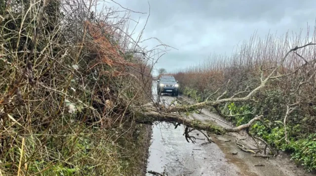 A381 Thurlestone on Sunday 26 January