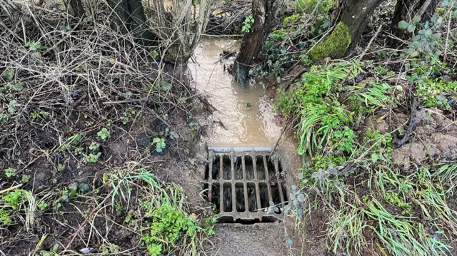 A draincover in a woodland in Puckington. Water is flowing into one side of it.