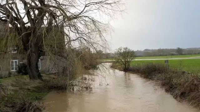 A flooded road next to some houses and a green field