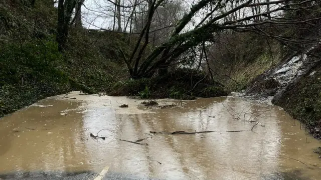 Landslide on road between Tavistock and Lamerton. The road is totally flooded with a large amount of earth across the road with a tree in the middle.