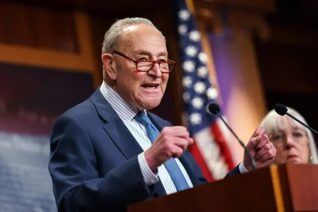 Schumer speaking at a podium