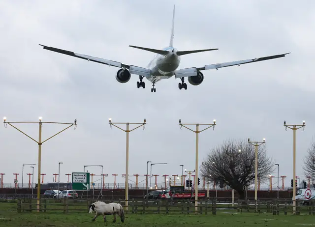 A passenger plane flies over a horse grazing as it makes its landing approach to Heathrow Airport