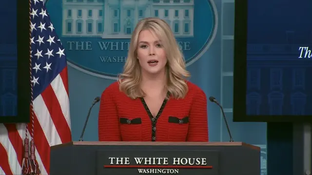 Karoline Leavitt speaking at a press briefing