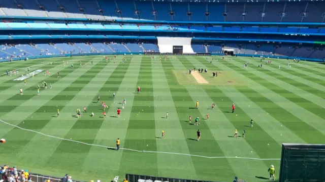 MCG outfield