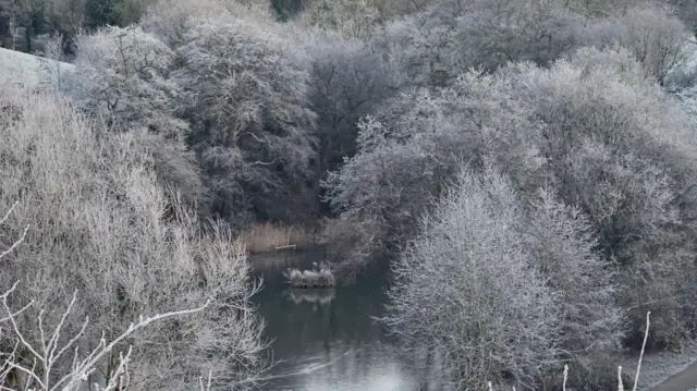 An overhead shot of water surrounded by trees with frost