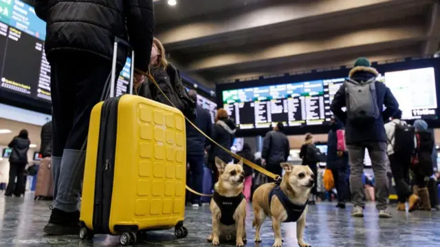 A yellow suitcase in the foreground with someone who holds the leads to two dogs. Other passengers and arrival and departure boards seen in the background slightly blurred