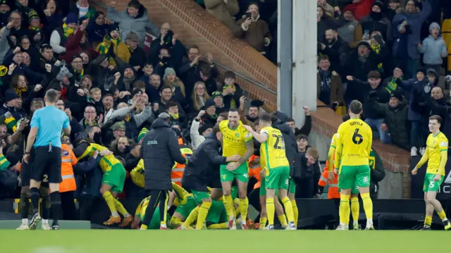 Norwich players celebrate with fans