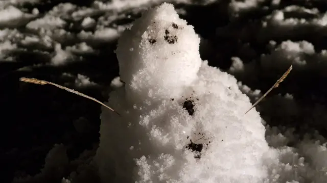 A small snowman with mud for buttons and twigs for arms