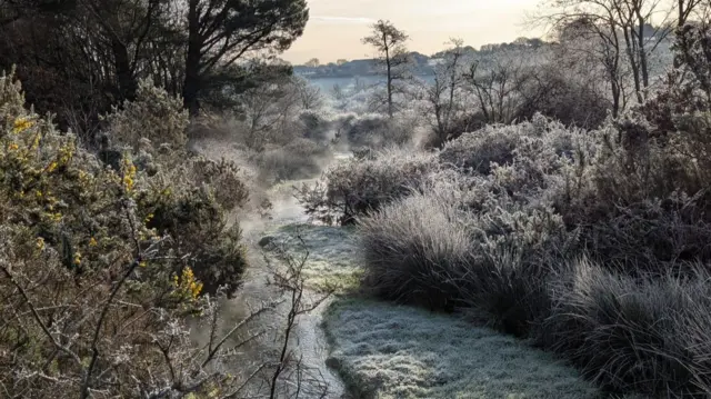 A frosty path in Cornwall