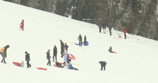 People enjoying the snow on sledges. There is a group of peopel going up and down the slop with red and blue sledges