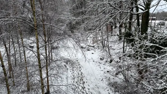 Snow on loopline