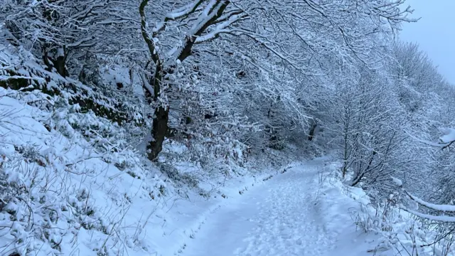 A snowy country lane with trees overhanging covered in snow.