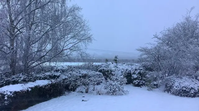 Snow covers fields and trees