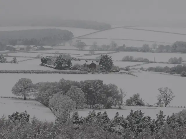 Trees and fields covered in snow