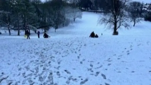 People sledging down a snowy slope lined with trees. The people can be seen in the distance, with footsteps criss-crossing the snow.