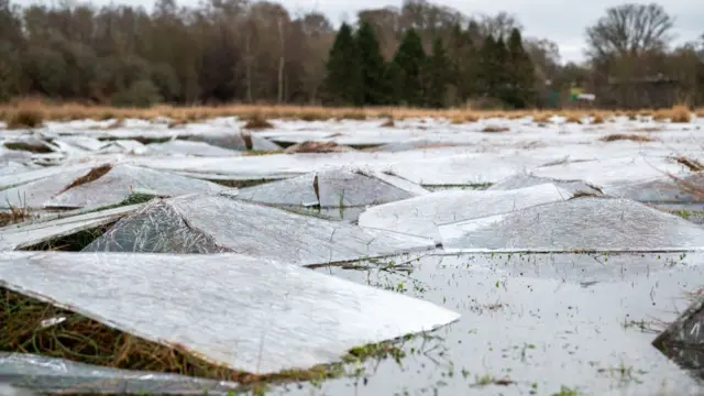 Plates of ice cover farmland in Dollar, Scotland