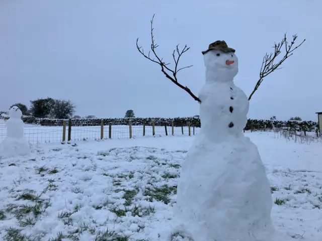 A snowman with large branches for arms, a carrot for a nose and wearing a brown hat in a field