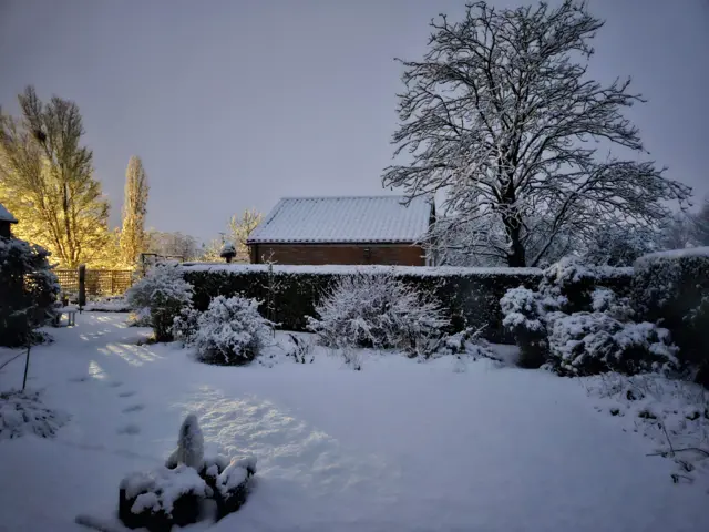 A snow covered garden